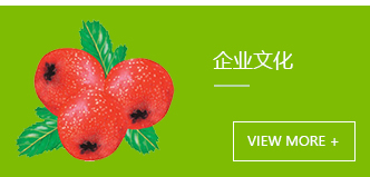 樹脂混凝土排水溝,主要涉及樹脂混凝土排水溝，海綿城市專用